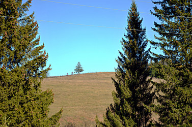 Similar image 22473277