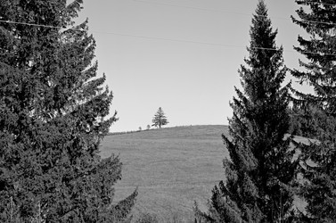 Similar image 22473278