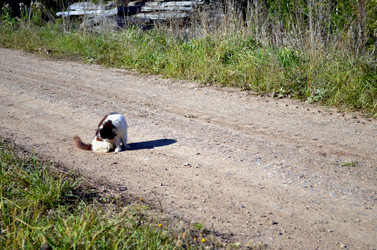 Similar image 22473279