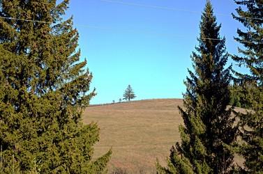 Similar image 22473280