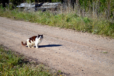 Similar image 22473281