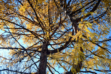 Similar image 22473282