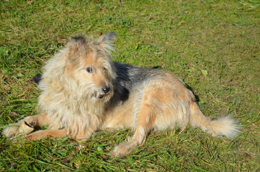 Similar image 22473285