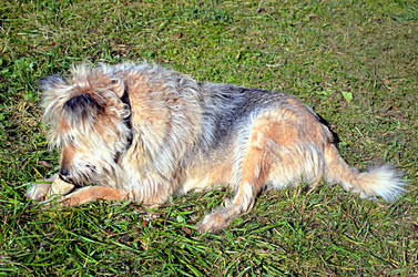 Similar image 22473286