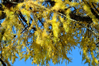 Similar image 22473288