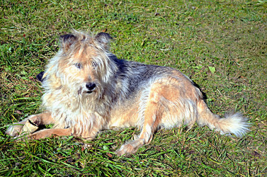 Similar image 22473289