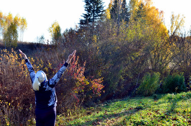 Similar image 22473291