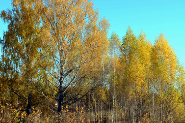 Similar image 22473292