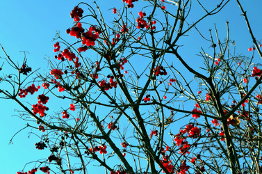 Similar image 22473293