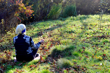 Similar image 22473296