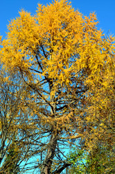 Similar image 22473297