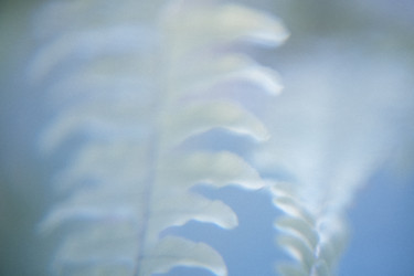 Similar image 22477211