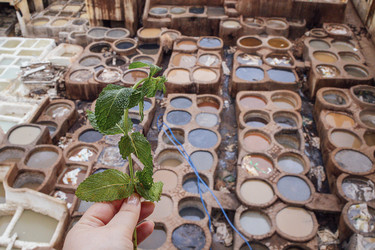 Similar image 22477228