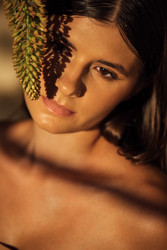 Similar image 22477331