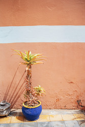 Similar image 22477363