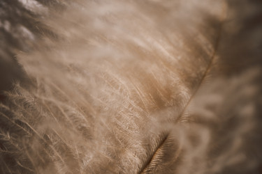 Similar image 22477375