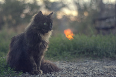 Similar image 22472918