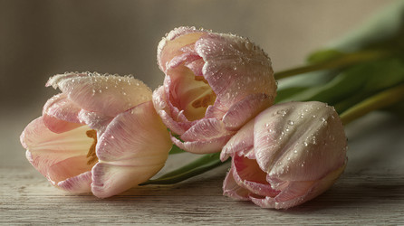 Similar image 22476835