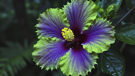 Similar image 22476838