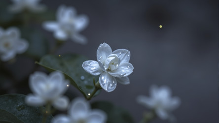 Similar image 22476842