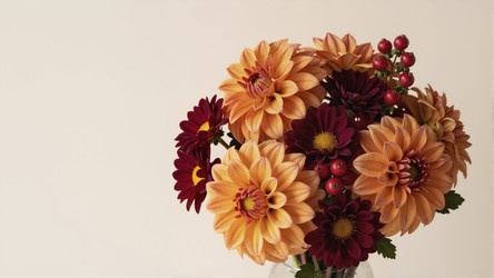 Similar image 22476849