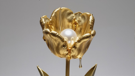 Similar image 22476850