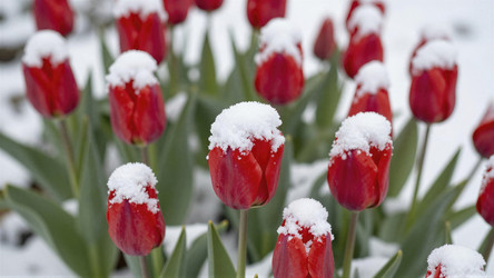 Similar image 22476865