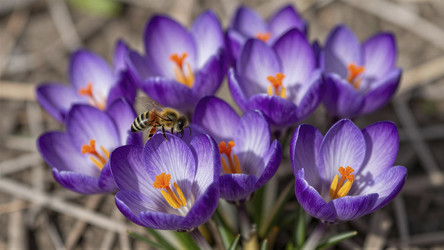 Similar image 22476882