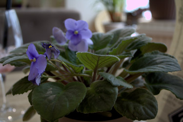 Similar image 22474653