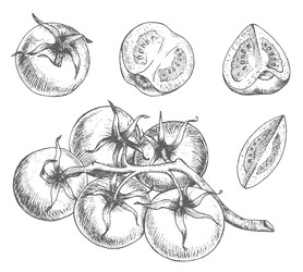 Similar image 22475243