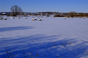 Similar image 22475273