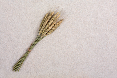 Similar image 22474990