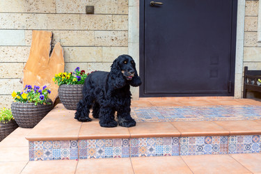 Similar image 22475006