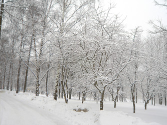 Similar image 22474903