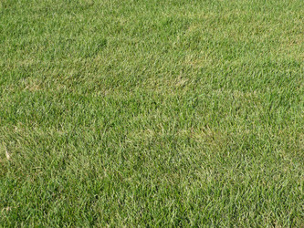 Similar image 22474906