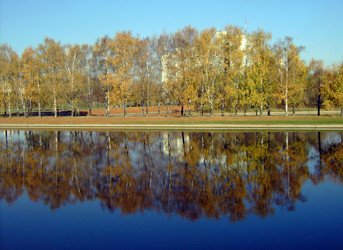 Similar image 22474910