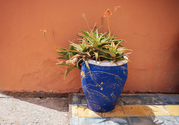 Similar image 22477222