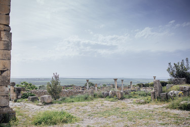 Similar image 22477223