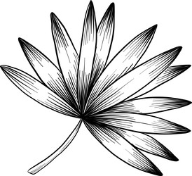 Similar image 22475170