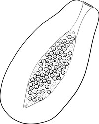 Similar image 22475172