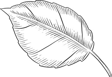 Similar image 22475174