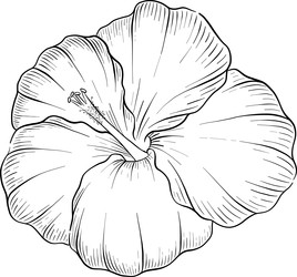 Similar image 22475177