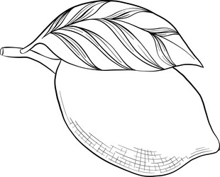 Similar image 22475180