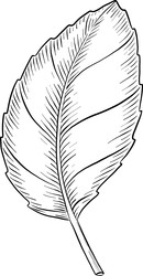 Similar image 22475181