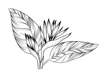 Similar image 22475114