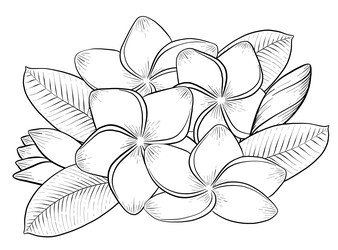 Similar image 22475119