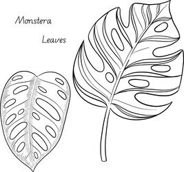 Similar image 22475122