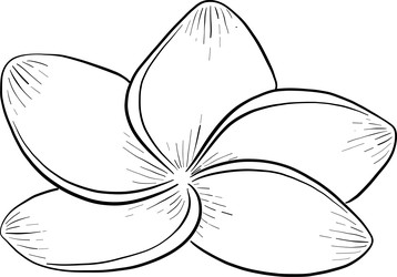 Similar image 22475123