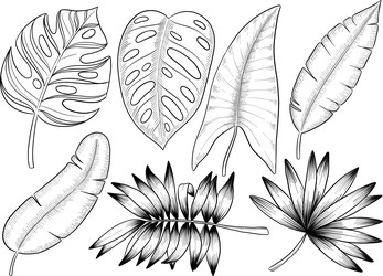 Similar image 22475126