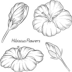 Similar image 22475127